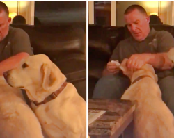 Dad Pretends To Give His Dog Ear Drops So She Doesn’t Feel Left Out