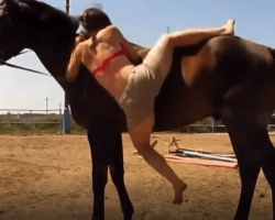 Woman Was Trying To Mount On Her Horse And Got Unexpected Help