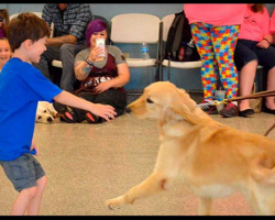 Boy With Autism Never Let Anyone Touch Him, Then He Meets His New Service Dog