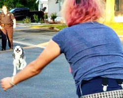 Woman Thought She’d Never See Her Dog Again, Two Years Later He Comes Running