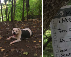 Dog Walker Stumbles Upon Gentle Giant Tied To A Tree With A Note Attached