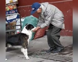 Man’s Kind Gesture For Thirsty Dog Is Touching Hearts Around The World