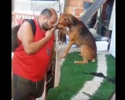 Man Gets Home From Work And Kisses Dog’s Paw Only To Have Pup’s Deliberate Greeting Warm Everyone’s Heart
