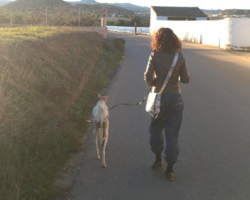 Stray Mama With Broken Leg Finds The Strength To Lead Rescuers To Her Puppies