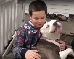 9-Year-Old Boy Faces Off With Masked Intruder, Then Boy’s Pit Bull Saves The Day