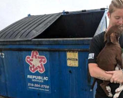 Puppies Thrown Away With Trash In A Dumpster Are So Happy To Be Rescued