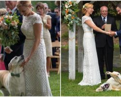 Dog Hilariously Photobombs His Owners’ Wedding Vows And Totally Steals The Show