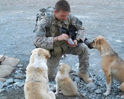 Everyone Has Their Own Superhero. For This Soldier, It Was These 3 Dogs