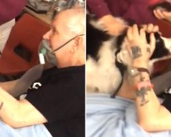 Hospital Changes No-Pets Rule For A Day, Allows Dying Grandpa To Say Goodbye To His Dog