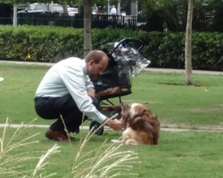 Man Takes Dog Out Of Stroller And Bends Down Thinking No One Is Watching