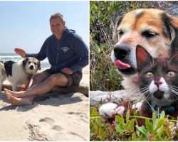 War Vet Fighting PTSD Finds The Best Medicine In 2 Special Animals