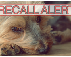 BREAKING: Pet Food Recalled Due To Vitamin D Toxicity In 3 Dogs