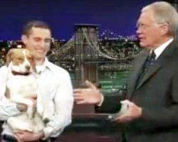 When Bailey The Beagle Performs Her ‘Trick,’ Letterman Can’t Stop Cracking Up