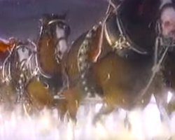 Clydesdale Christmas TV Clip From 1987 Will Provide The Holiday Magic You Need