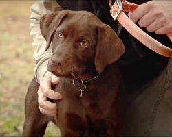 Man brings new puppy to meet someone that taught him the most precious life lesson