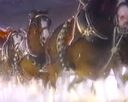 1987 Clydesdale Christmas TV Clip Will Put You In The Holiday Spirit