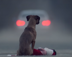 Short Film’s Unique And Powerful Statement On Pet Abandonment Really Hits Home