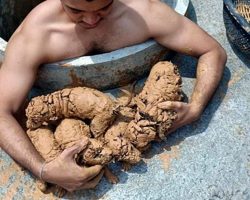 Man Rescues Muddy Puppies From A Well, Washes Mud Away To Reveal Their Cuteness