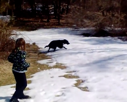 Family Takes Dog Outside In The Snow, And They’re In Tears Watching Him Go