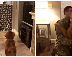 Dog’s Reaction To Soldier Dads Return Home Has The Internet Talking
