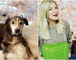 Tori Spelling Adopts 14-Year-Old Dog Who Was Dumped At Shelter Before Christmas