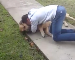 Boy Thought His Dog Was Gone Forever, And He Bursts Into Tears Upon Seeing Him Again