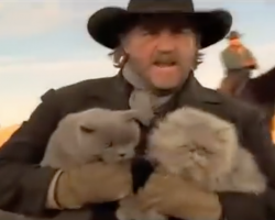 Cowboys Herding Cats Clip Makes For A Well-Spent Minute Of The Day