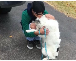 Dog Was In So Much Pain He Couldn’t Be Touched- Now Can’t Stop Hugging His New Dad