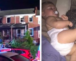 Mom can’t reach baby and dog stuck In burning house – Dog sacrifices himself to save her