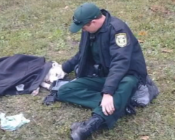 Police Officer’s Act Of Kindness For Dog Hit By A Car Takes Over Social Media
