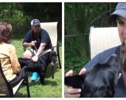 Veteran With PTSD Has Panic Attack On Camera, His Hero Service Dog Steps In