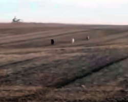 Man Finally Finds His Missing Dog Sprinting Across Field – Then Realizes He’s Not Alone