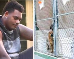 NFL player asks shelter for least adoptable dog and here’s who they gave him