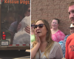 Couple Adopts Dog Without Meeting Him First, Then Rescue Truck Pulls Up And Trailer Door Opens