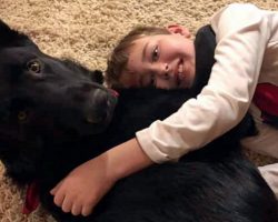 Trucker Drives 2,300 Miles To Reunite Cancer Patient With His Furry Best Friend