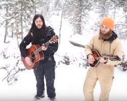 Singers record a song in the forest sanctuary and surprised when wolves join in