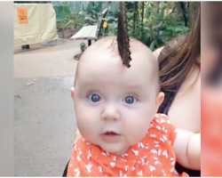 Butterfly Lands On Baby’s Head, Spreads Wings And Becomes Most Beautiful ‘Hat’