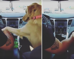 Lucy Insists On Holding Dad’s Hand, Turns Around And Gives Mom A Mischievous Look