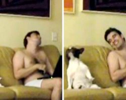 Mom catches dad & dog jamming together, secretly films their cute dance routine