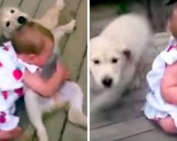 Mom was warned not to let pup near baby, but she did anyway & started filming