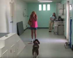 Dog Who Was Never Supposed To Walk Again Makes Mom Cry When She Sees It