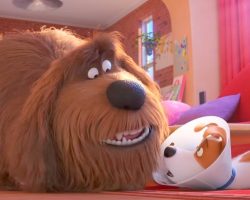 ‘The Secret Life Of Pets 2’ Trailer Is Out, And It’s Going To Be A Laugh Riot