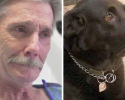 Widowed & homeless man risks severe frostbite & amputation to protect his dog
