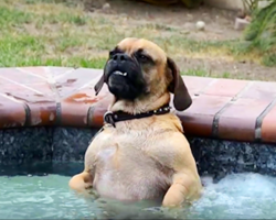 Nobody Believed Him When He Told Them What His Dog Does In The Hot Tub, Until He Filmed It