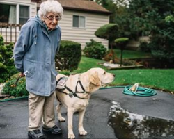 92-year-old veteran feels lonely and refuses to leave the house. Then she meets this service dog