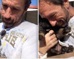 [Video] Dad Gets Emotional When His Family Surprises Him With German Shepherd Puppy