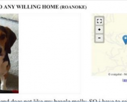 Man Posts This Ad On Craigslist After His Girlfriend Insists He Get Rid Of His Dog