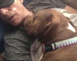 The Love Story Continues Between Patrick Stewart And His Foster Dog
