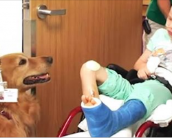 ‘Lifeless’ child is introduced to therapy dog. Then boy miraculously begins to show life