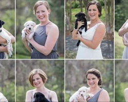 Bride and bridesmaid ditch bouquets, helps puppies in need of home get adopted instead